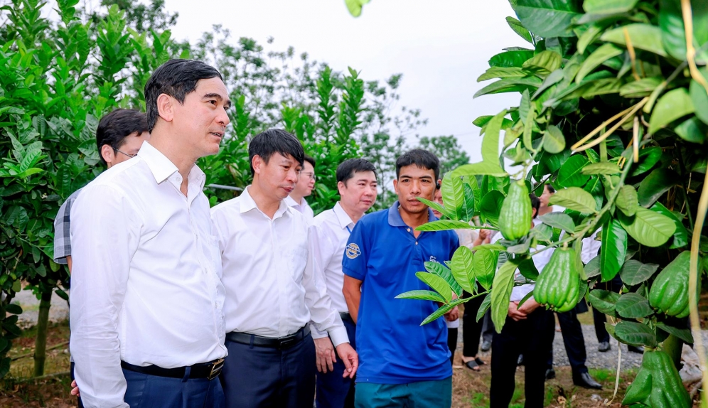 Vĩnh Phúc thực hiện chính sách an sinh xã hội - 'Đưa ý Đảng đến với  lòng dân'