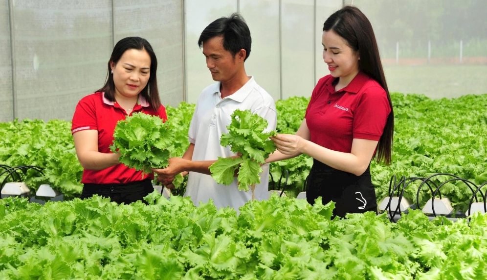 Nguồn vốn Agribank thúc đẩy kinh tế tư nhân phát huy vai trò trụ cột quan trọng của nền kinh tế